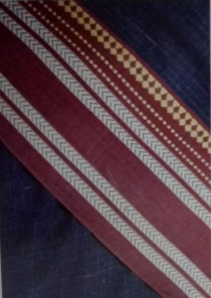 Raghvi Saree